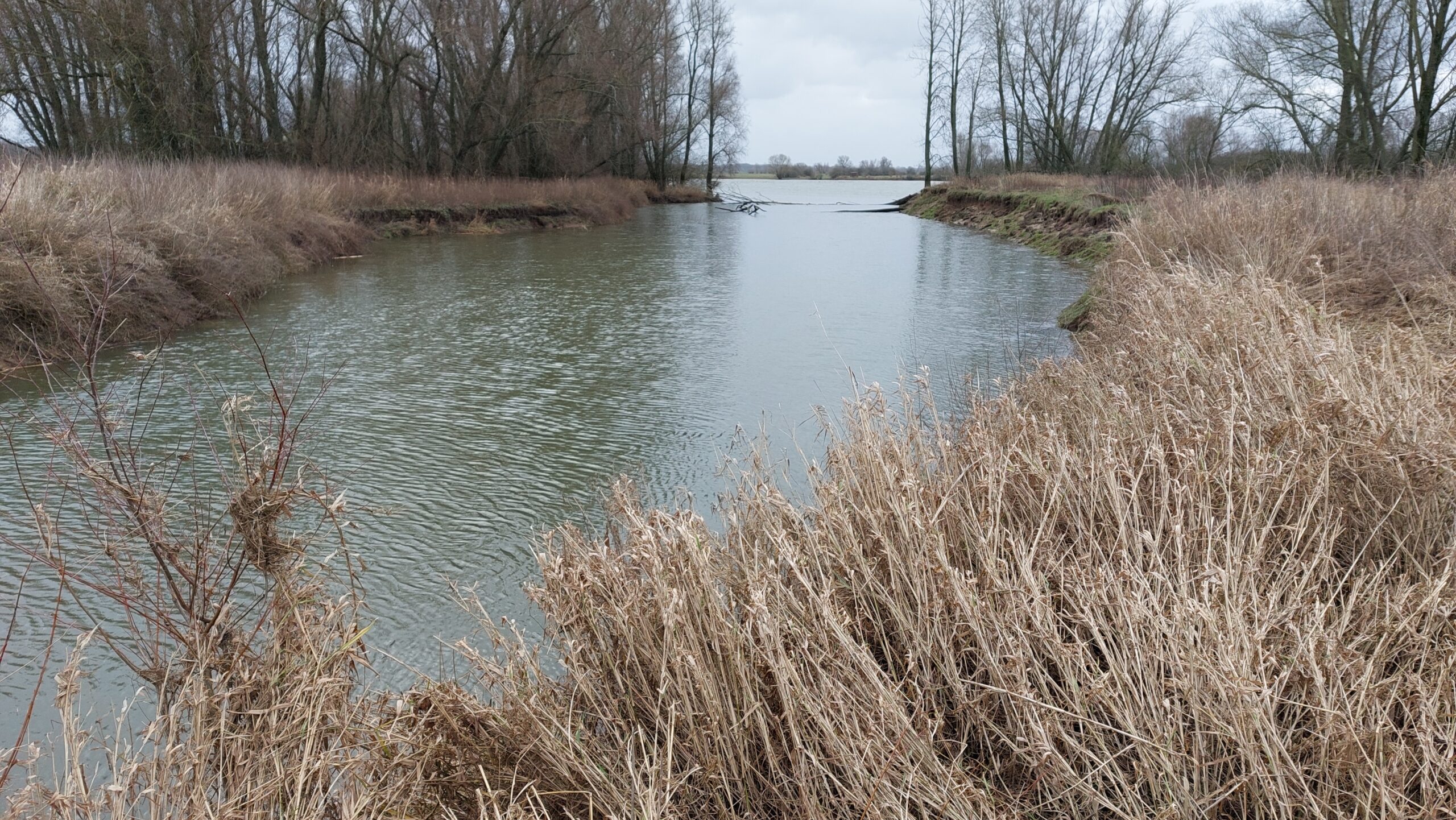 Omgevingsmanagement bij Rijkswaterstaat