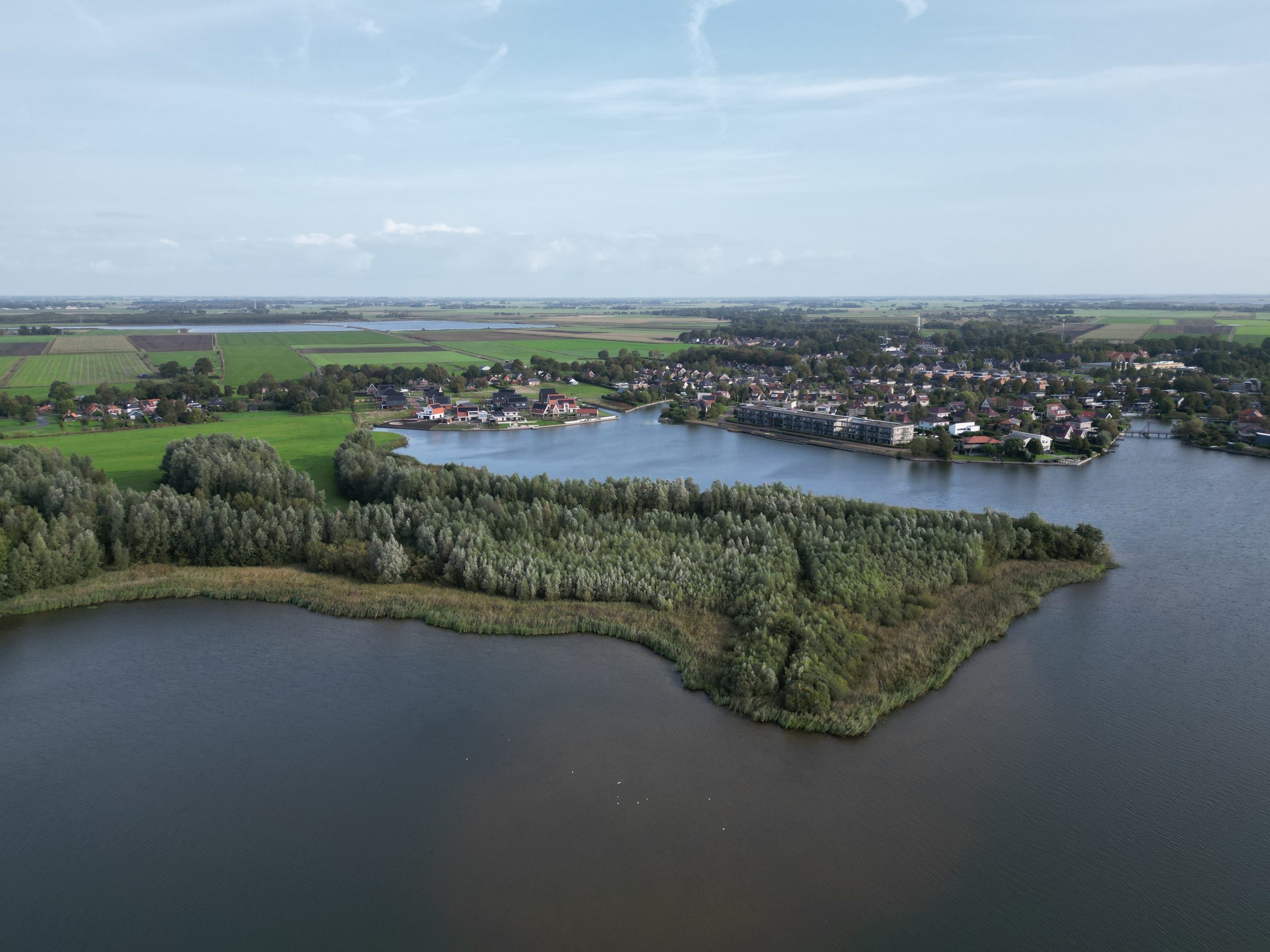 Ontwikkeling woonwijk Borgmeren