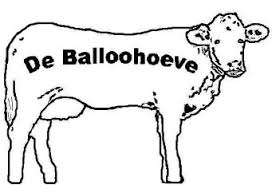 De Balloohoeve
