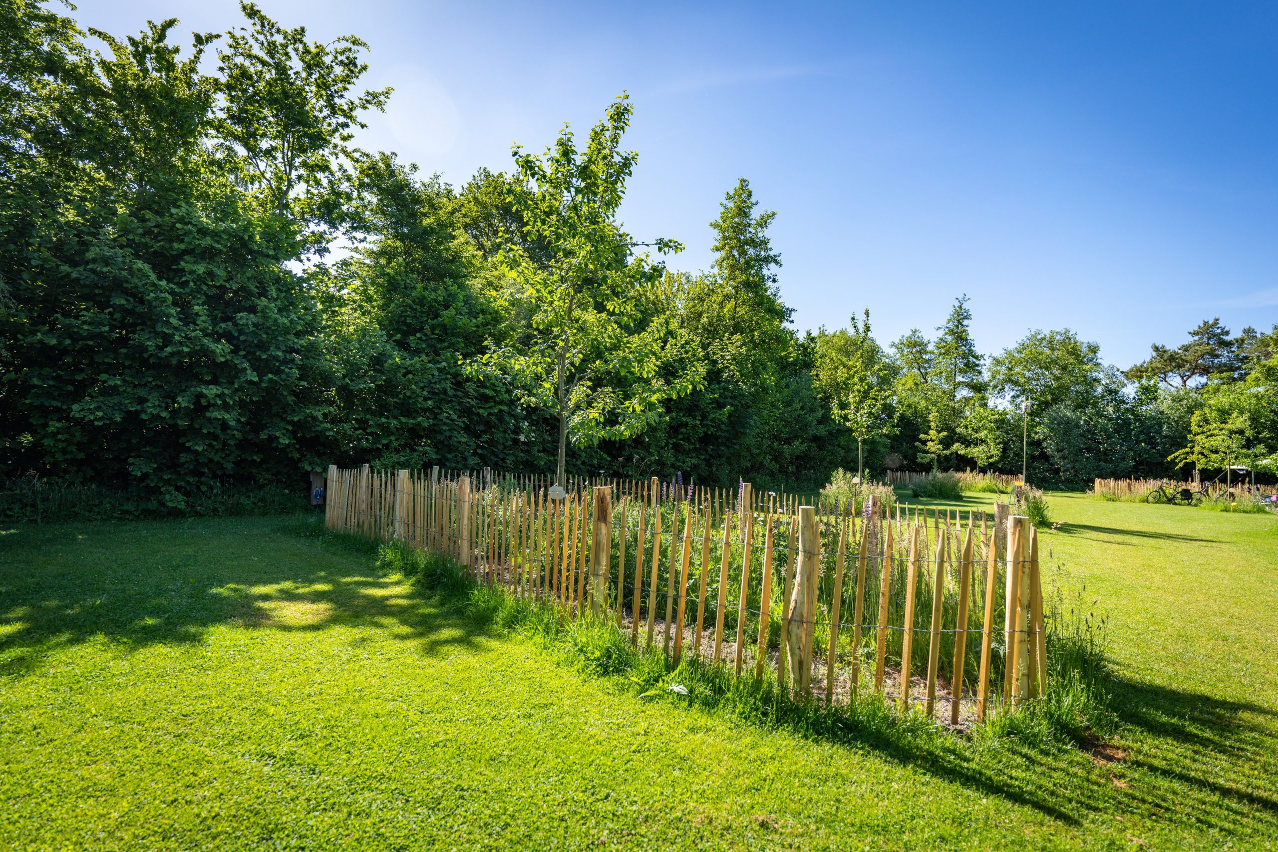 OOSTERWEIDE_HIGHRES-1